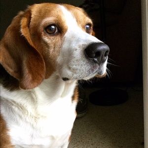 Meet your Posher, Shannon