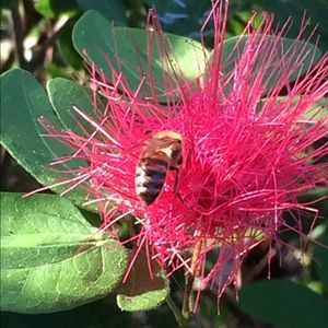 Meet your Posher, Chloe