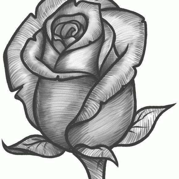 Meet your Posher, Rose