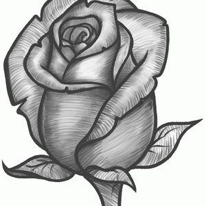 Meet your Posher, Rose