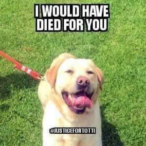 Meet your Posher, Miranda