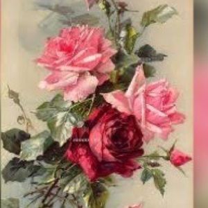 Meet your Posher, Shirin