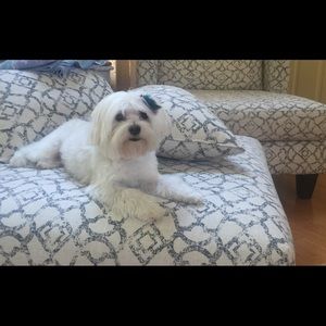 Meet your Posher, Sherry