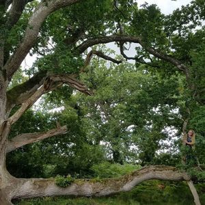 Meet your Posher, Tricia