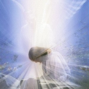 Meet your Posher, Marco