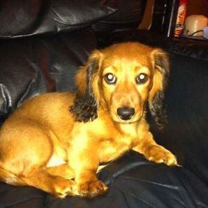 Meet your Posher, Tracy