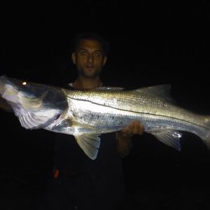 Meet your Posher, Sonny