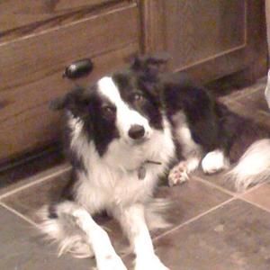 Meet your Posher, Teresa