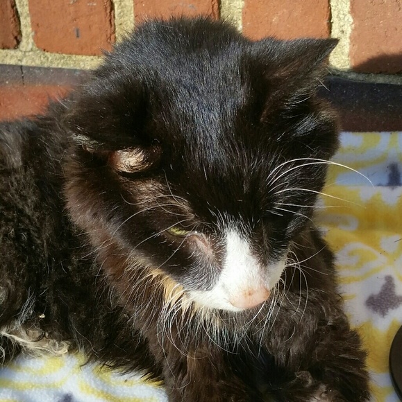 Meet your Posher, Lee - Picture 2 of 8