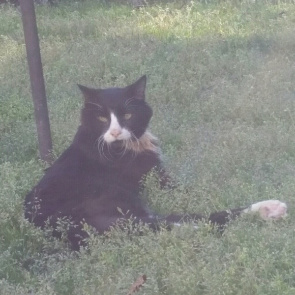 Meet your Posher, Lee - Picture 3 of 8