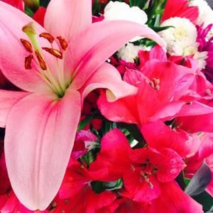 Meet your Posher, Mary