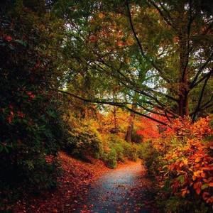 Meet your Posher, Tracey