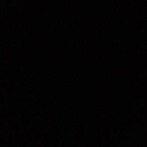 Meet your Posher, Mimi