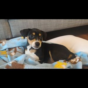 Meet your Posher, Eileen