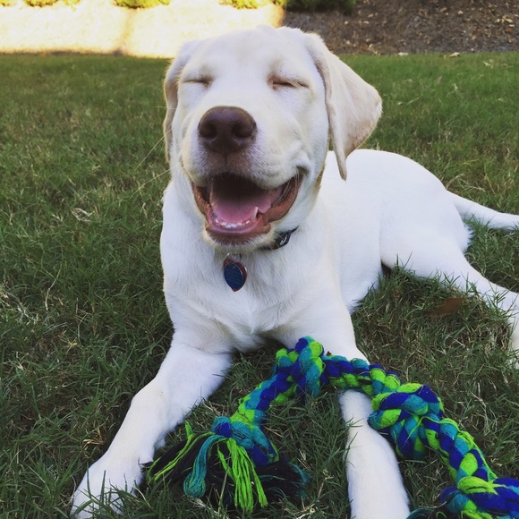 Meet your Posher, Elisabeth - Picture 3 of 3