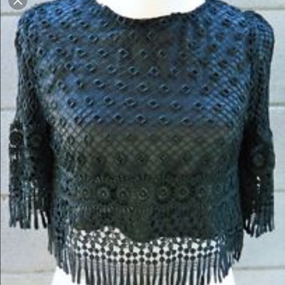 Stone cold fox sunflower crop