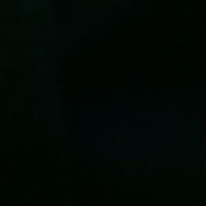 Meet your Posher, Bree