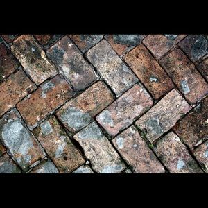 Meet your Posher, Bethany