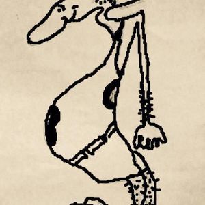 Meet your Posher, Joe