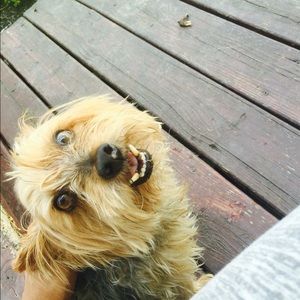 Meet your Posher, Ally