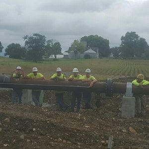 Meet your Posher, Bobby