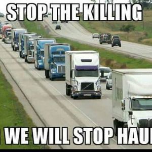 Meet your Posher, Travis