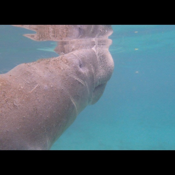 Meet your Posher, Jessica - Picture 7 of 8