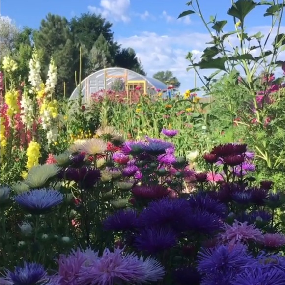 Meet your Posher, Jessica - Picture 8 of 8