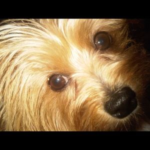 Meet your Posher, Rita