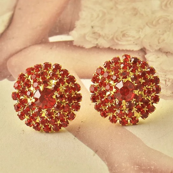Beautiful Red Earrings