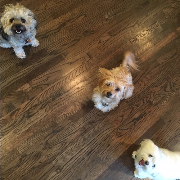 Get to know Krystle (usually called Kitty!) - Picture 4 of 4