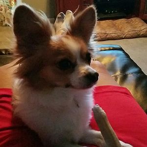 Meet your Posher, Cheri