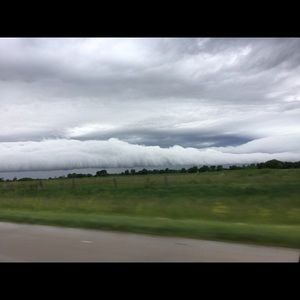 Meet your Posher, Jenny