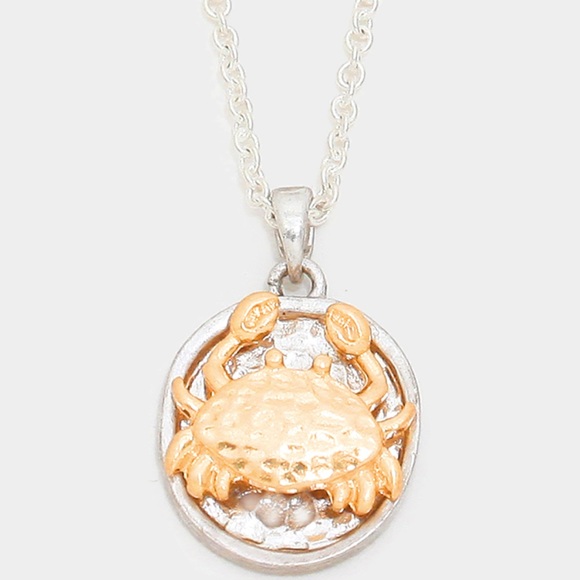 Boutique | Silver Necklace with Gold Crab - Picture 3 of 5