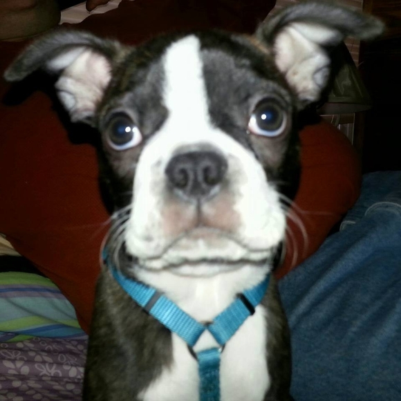 Meet your Posher, Kelley - Picture 1 of 1