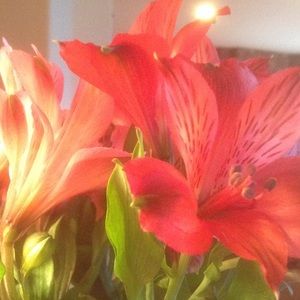 Meet your Posher, Cheryl