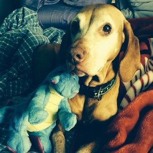 Meet your Posher, Kim