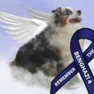 Meet your Posher, Angel