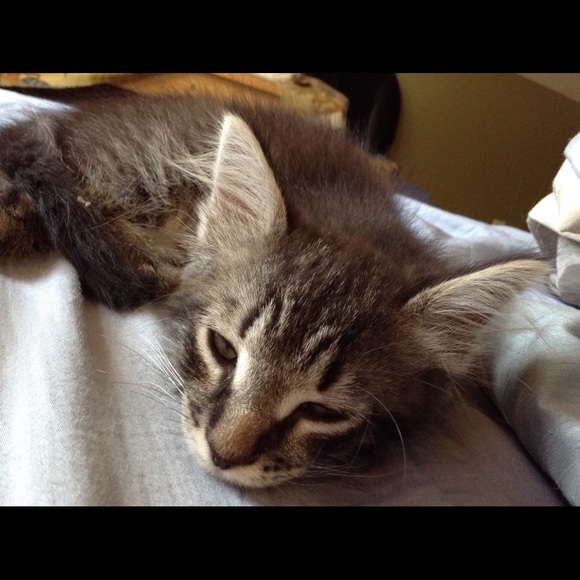 Meet your Posher, Marie - Picture 3 of 4