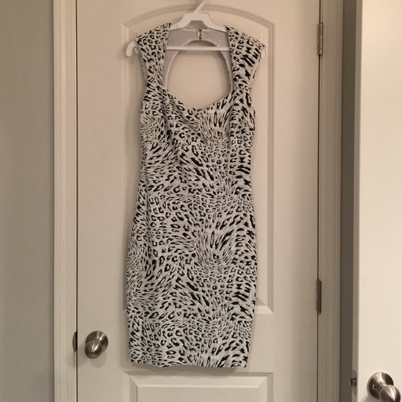 Animal Print Cache Dress
