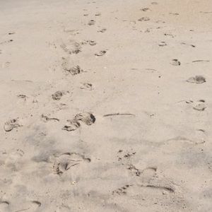 Meet your Posher, Daniela