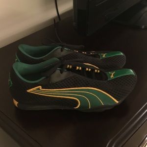 Black, Green, and Yellow Pumas