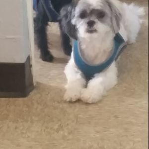 Meet your Posher, Maria