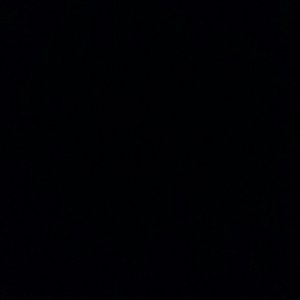 Meet your Posher, Tianna