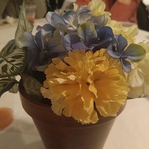 Meet your Posher, Phyllis