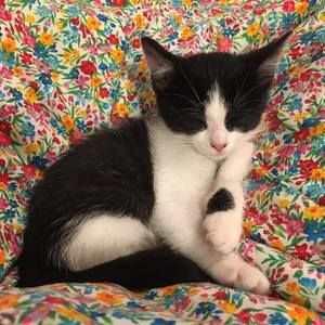 Meet your Posher, Mindy