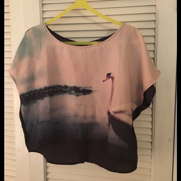 H&M swan short sleeve blouse