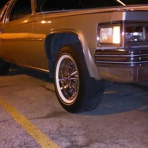 Meet your Posher, Archie