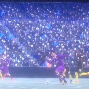 Meet your Posher, Benji