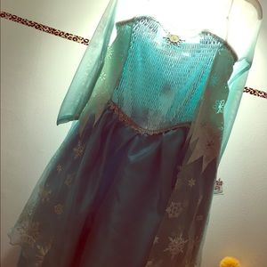 Beautiful Elsa costume